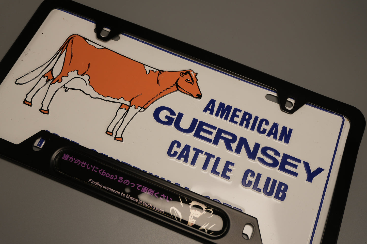 License plate frame aluminum - Gojo Jujutso kaisen "finding someone to blame is such a pain"?