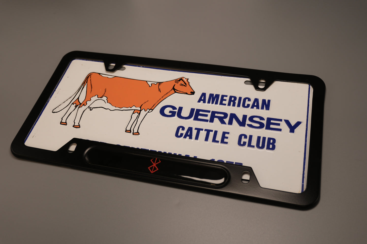 License plate frame aluminum - Berserk