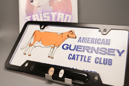 License plate frame aluminum - Saitama