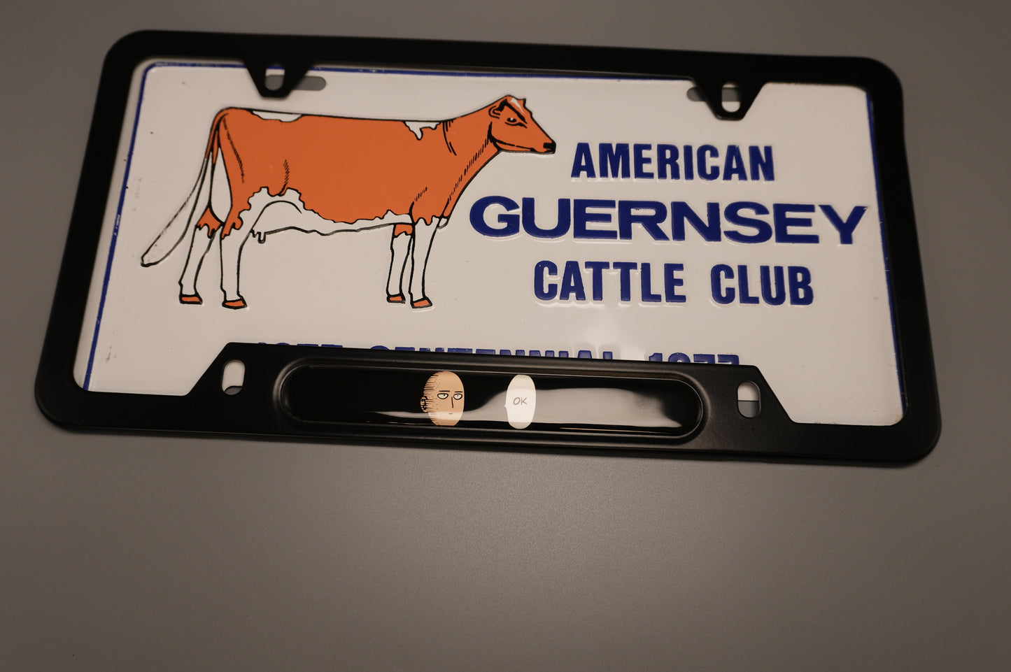 License plate frame aluminum - Saitama