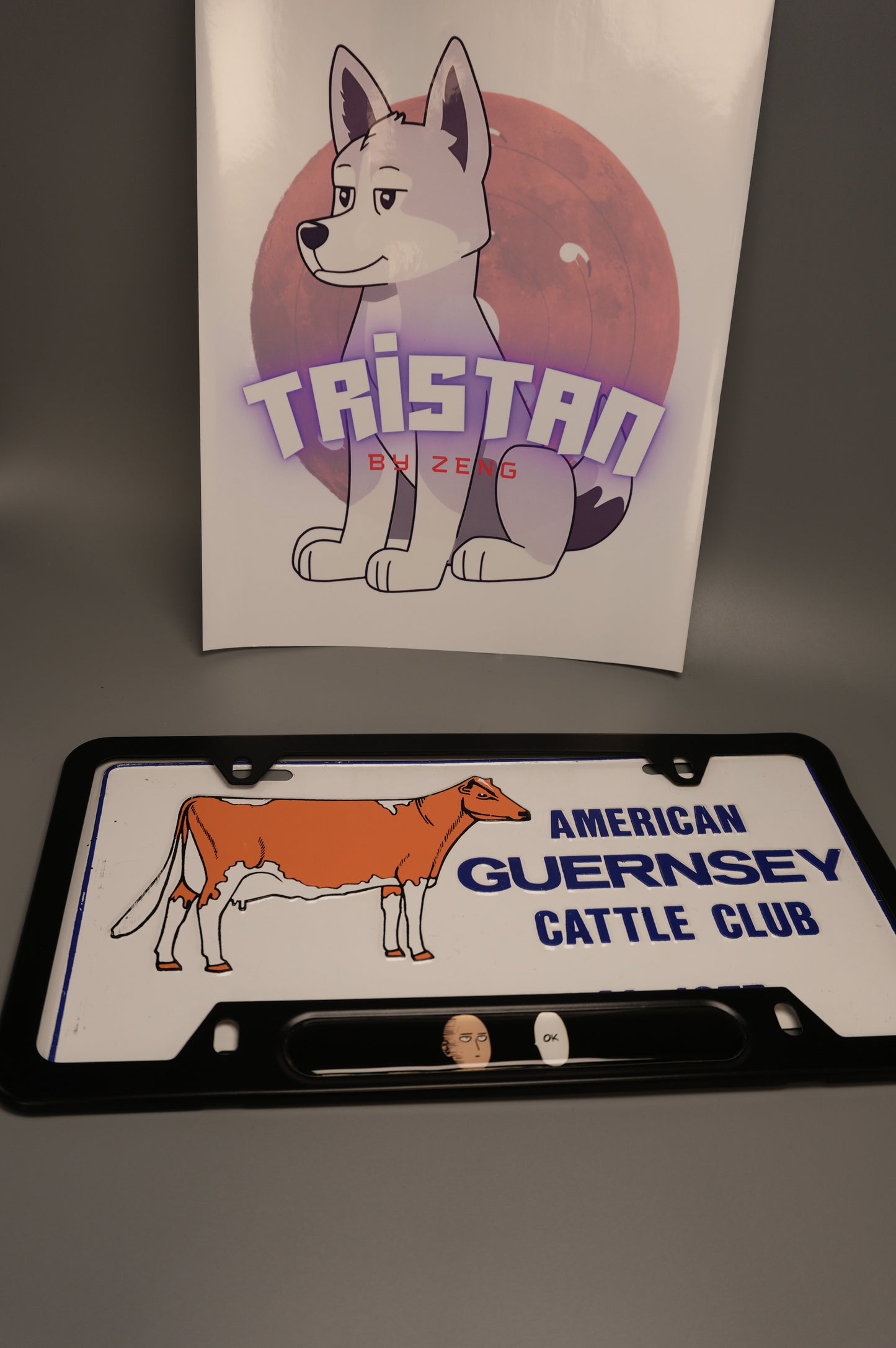 License plate frame aluminum - Saitama