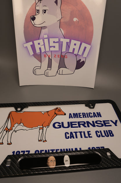 License plate frame aluminum - Saitama