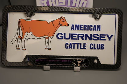 License plate frame aluminum - Gojo  Jujutso kaisen "finding someone to blame is such a pain"?