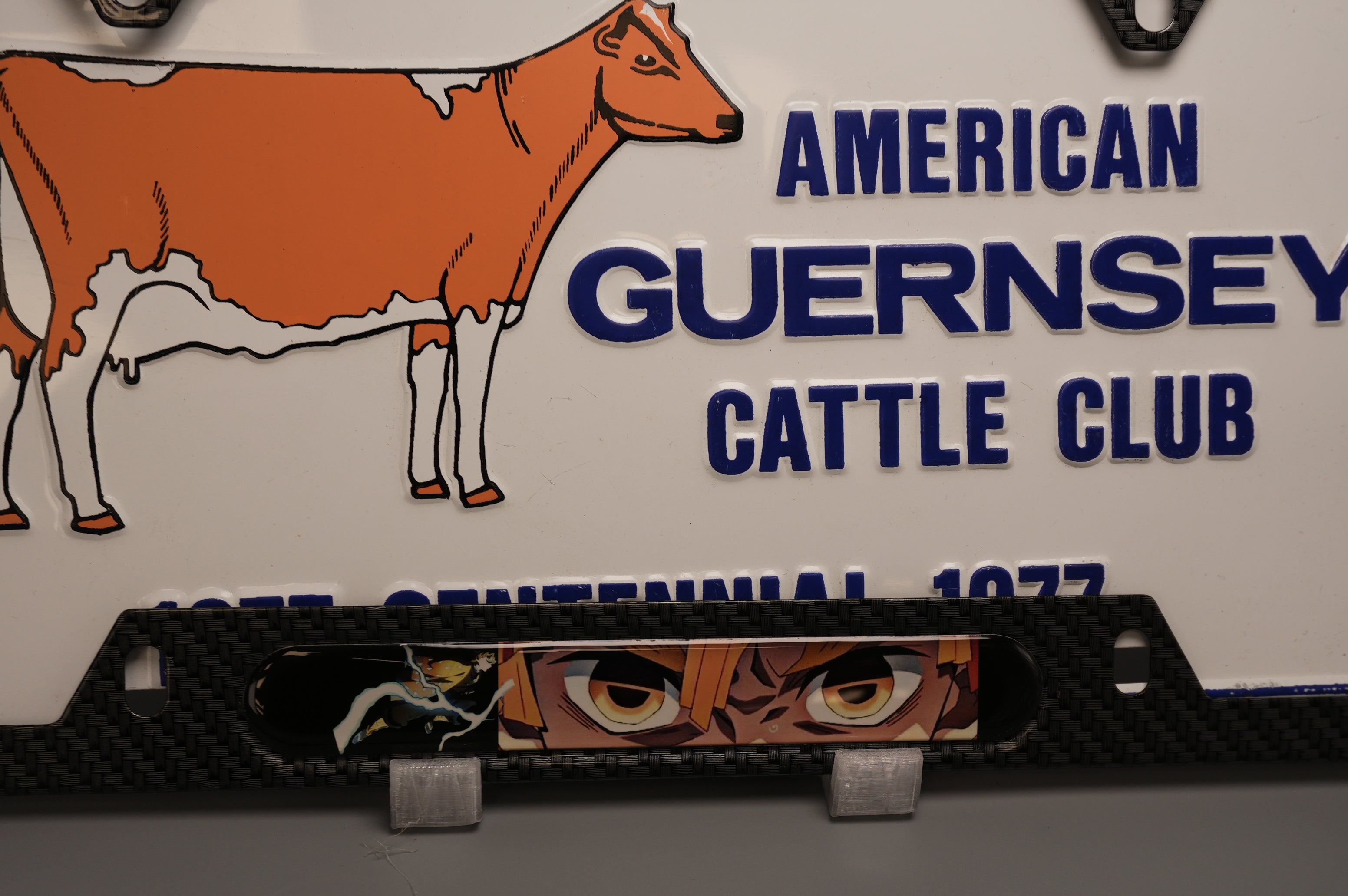 License plate frame aluminum - Zenitsu