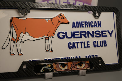 License plate frame aluminum - Zenitsu