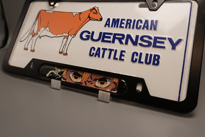 License plate frame aluminum - Zenitsu