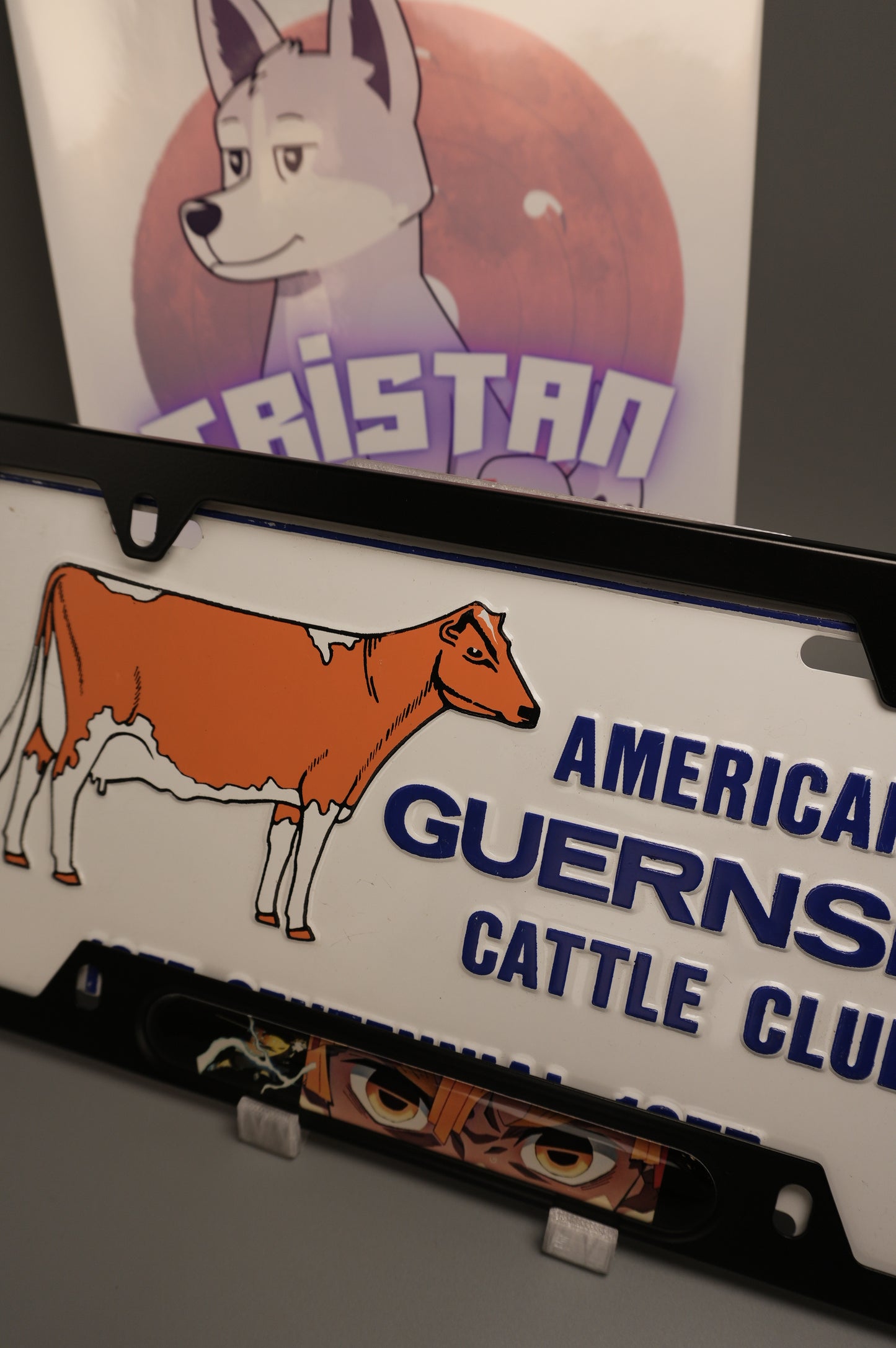 License plate frame aluminum - Zenitsu