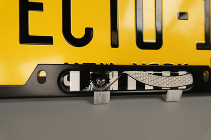 License plate frame aluminum Anime - Obanai Iguro, the Serpent Hashira Demon Slayer (fan art)