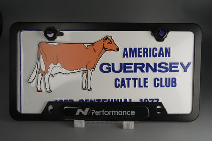 License Plate Frame Hyundai N Performance for Elantra N Kona N Veloster N