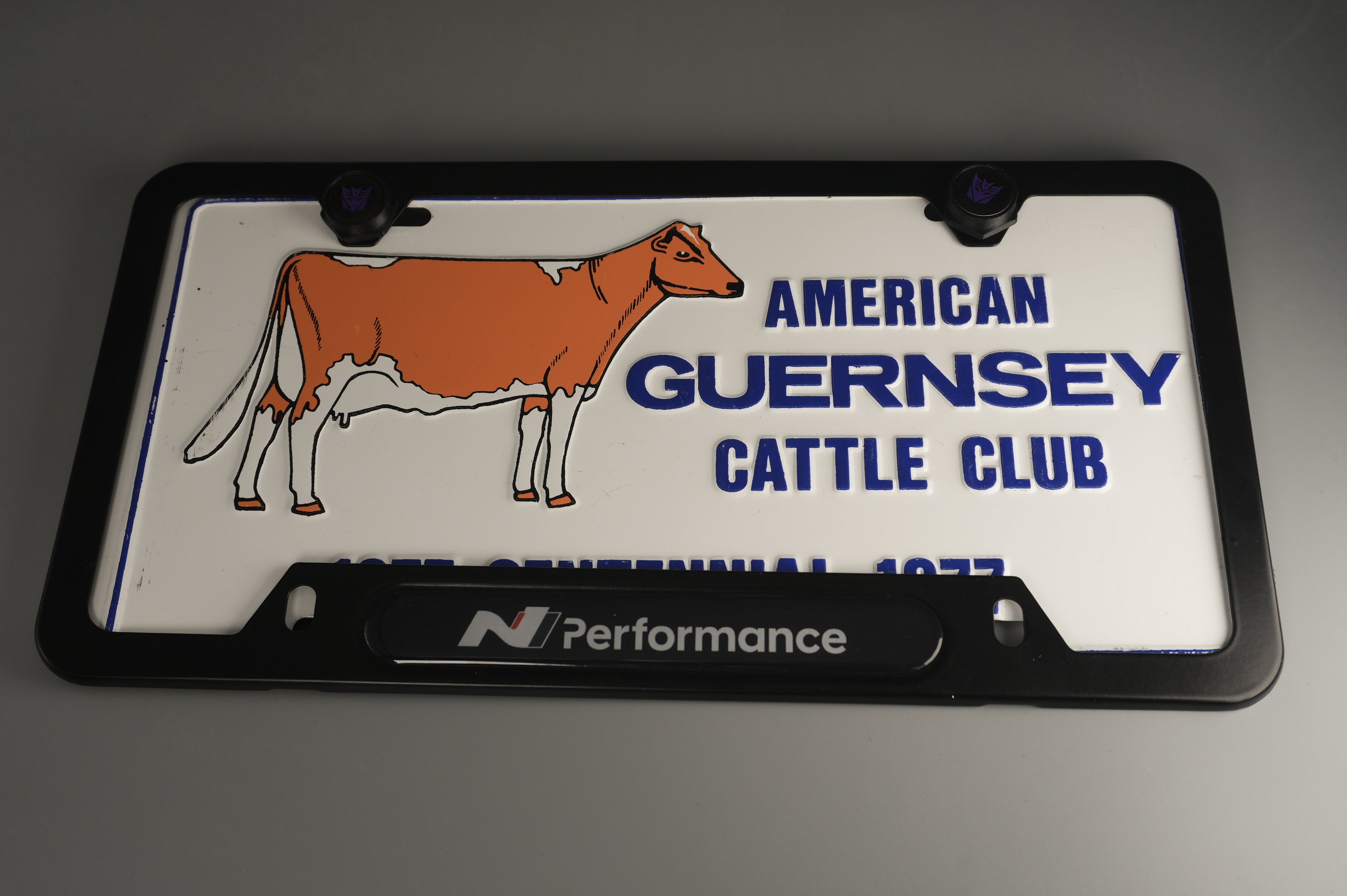 License Plate Frame Hyundai N Performance for Elantra N Kona N Veloster N