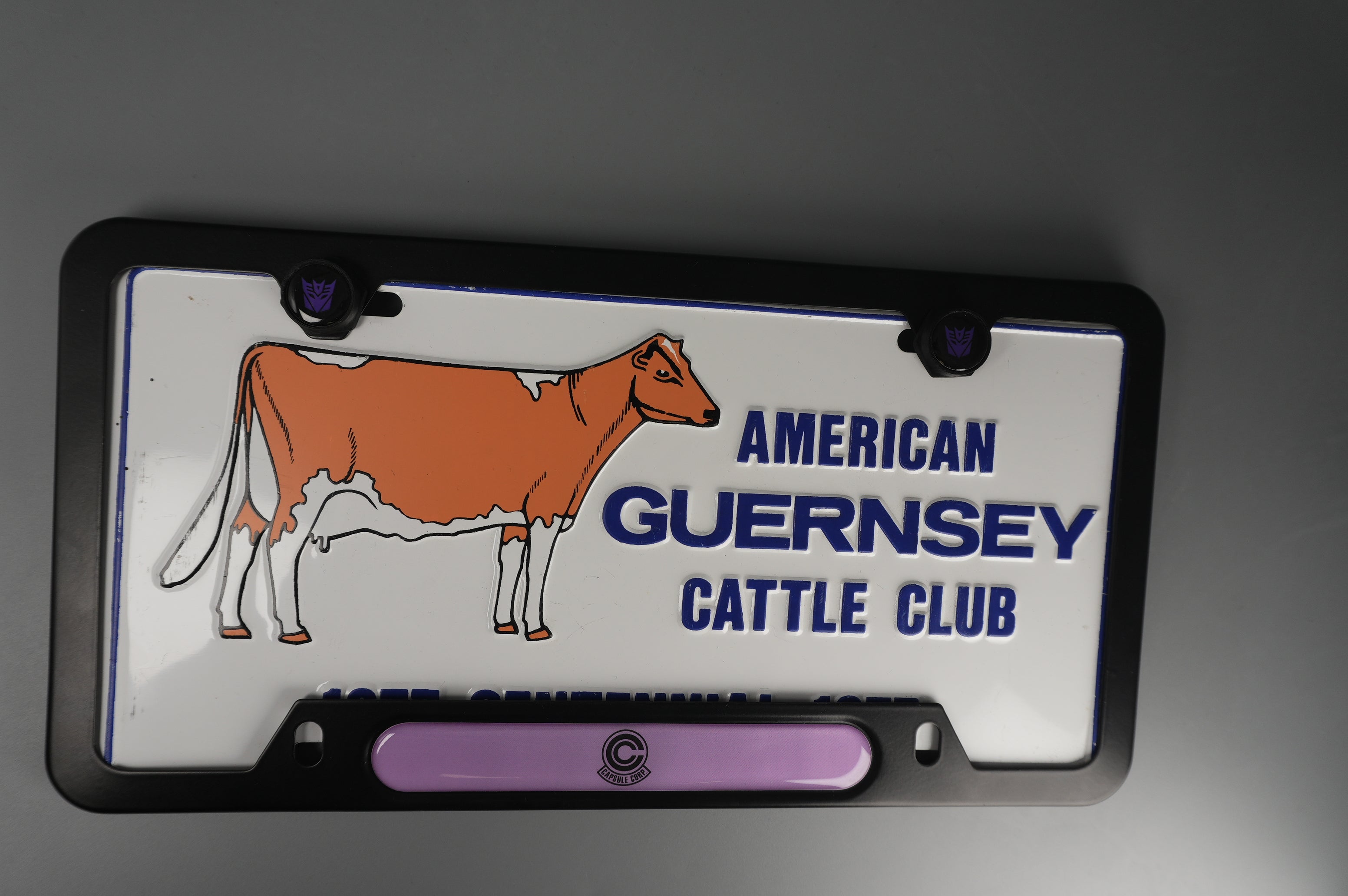 License Plate Frame team DBZ CAPSULE corp