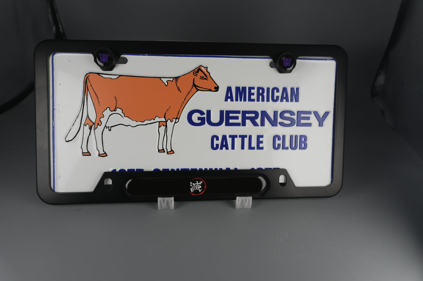 License Plate Frame team 滅 which means “to obliterate”