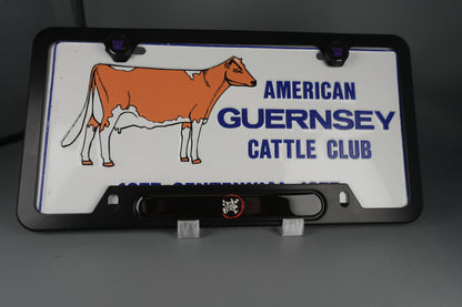 License Plate Frame team 滅 which means “to obliterate”